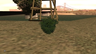 Hemp collecting skills - S2