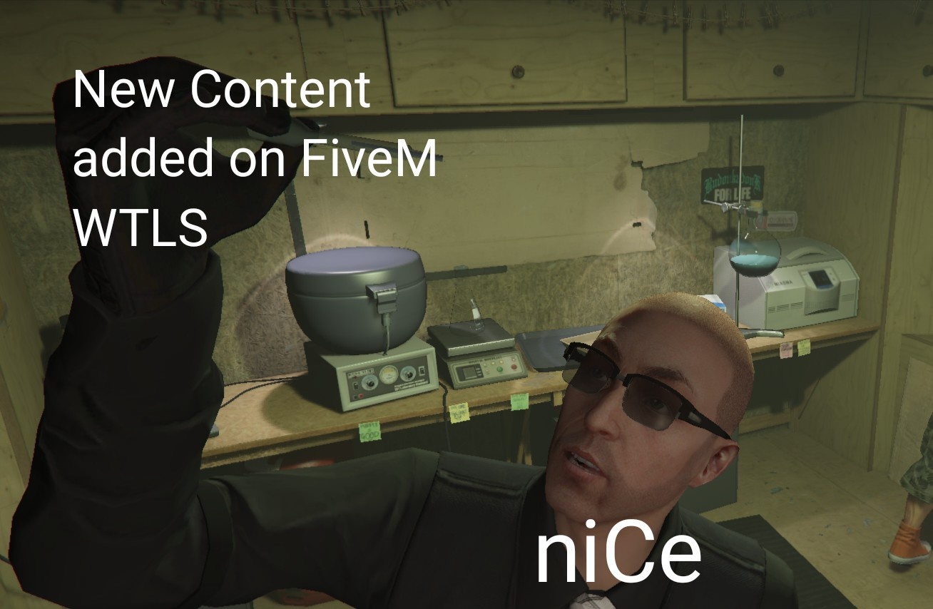 Update on FiveM WTLS Be like