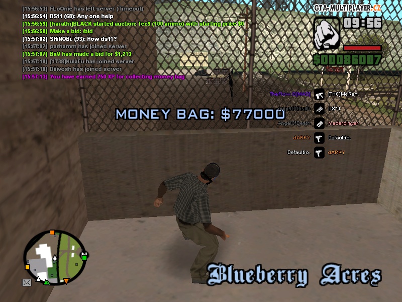 Ez MoneyBag BlueBerry Acres