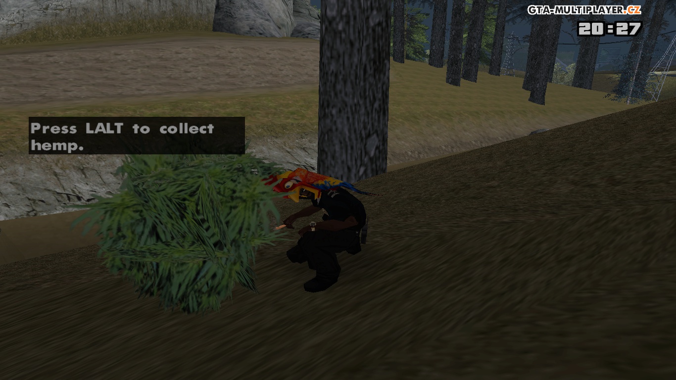 Swamp hemp