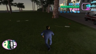 Vice city mayhem