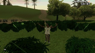 Weeeeeed Farm