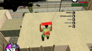 XDD bug
