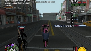 run if u can dog