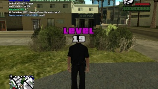 level 19