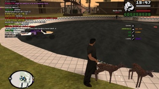 Zoofil