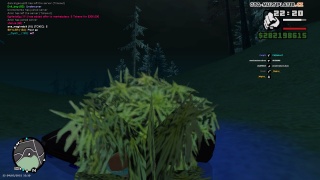greengoloco
