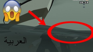 I found the shark!!!!