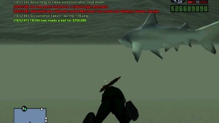 SHARK!!!!! In sea 