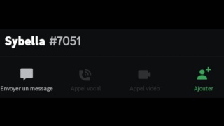 Sybella's fake Discord account 