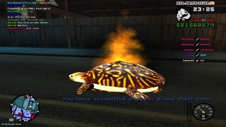 xd game 