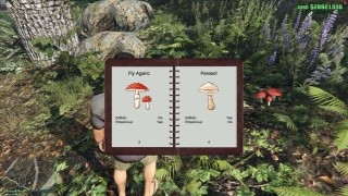 Mushroom compendium