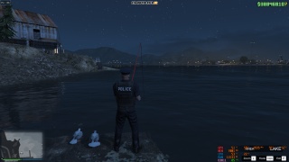 R3dfield - Fishing with my Seagull friends (FiveM)