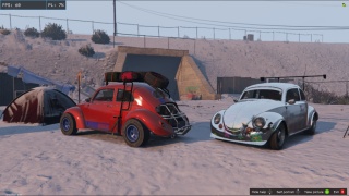 Weevils