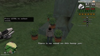 Not so hidden hemp