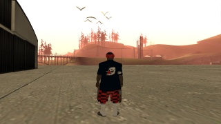 bws skinn