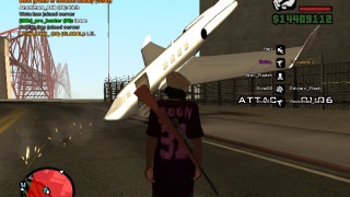 Osama teached me how to fly planes