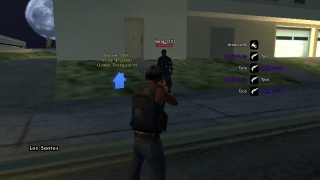 screen shot - test the player account theft lheon