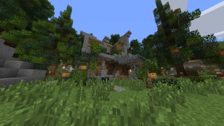 Minecraft medieval server spawn house