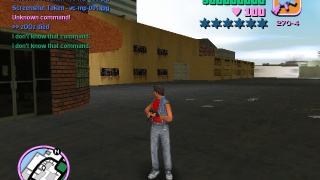 alone in gta vicecity 