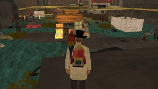 Sewer TDM 2