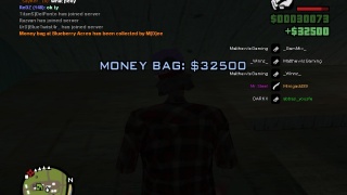 Moneybag in Blueberry Acres 