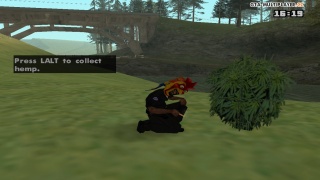 River hemp