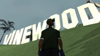 #Vinewood #photo #selfie