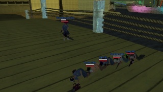 Ceo's Team :)